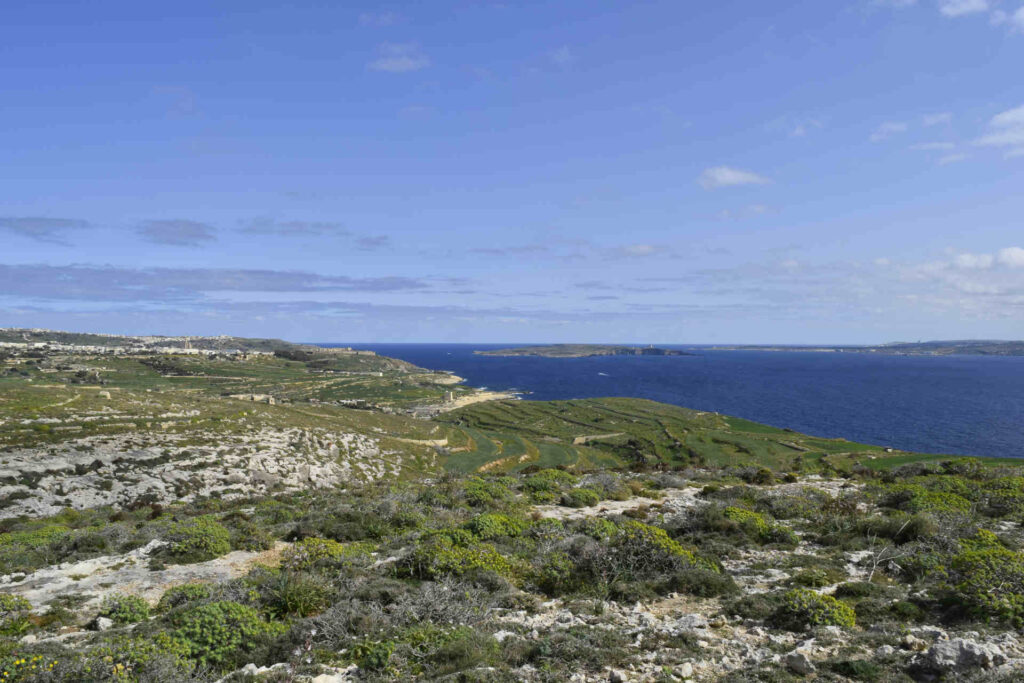 roślinność na Malcie